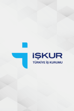 Niğde 2025 Yılı İşgücü Eğitim Planı