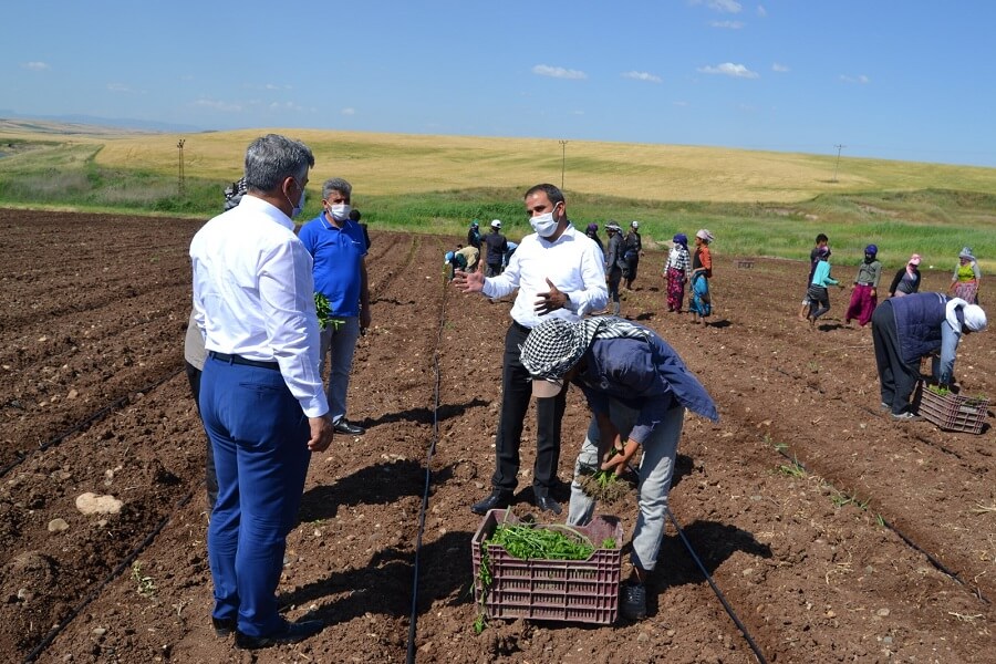 Diyarbakır’da Mevsimlik İşçilerle Bir Araya Geldik